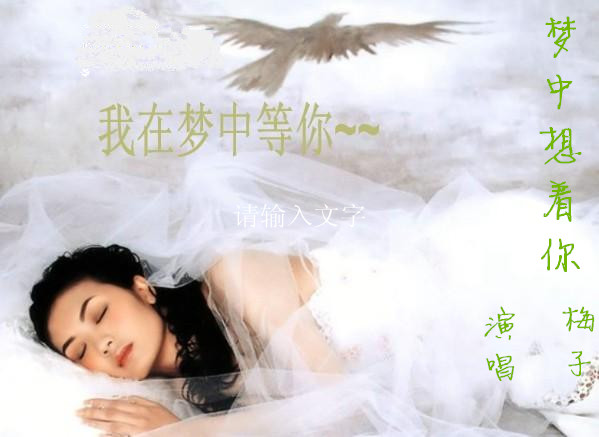 梅子—梦中想着你(to冰泉)