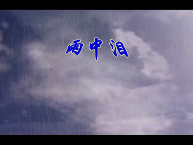 雨中泪