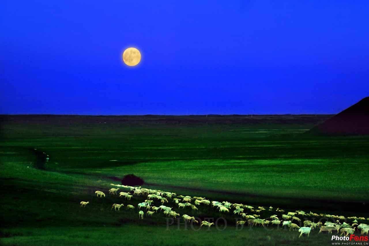 草原的月亮