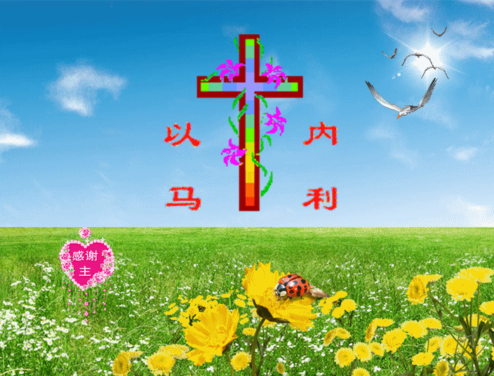 我的幸福就是拥有你