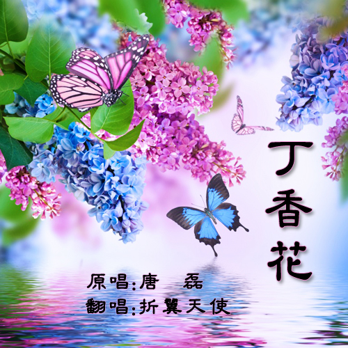 丁香花