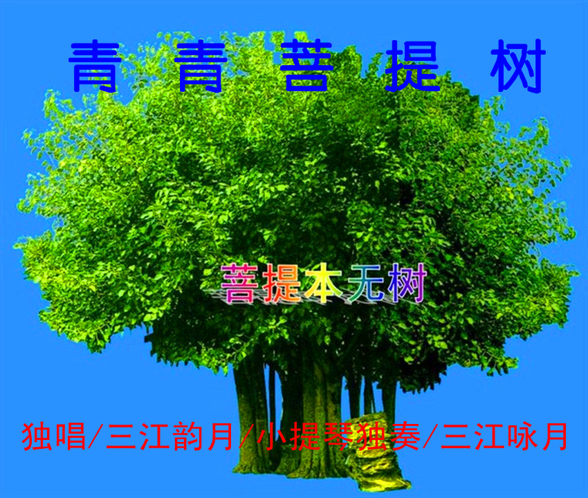 青青菩提树(三江咏月独奏)