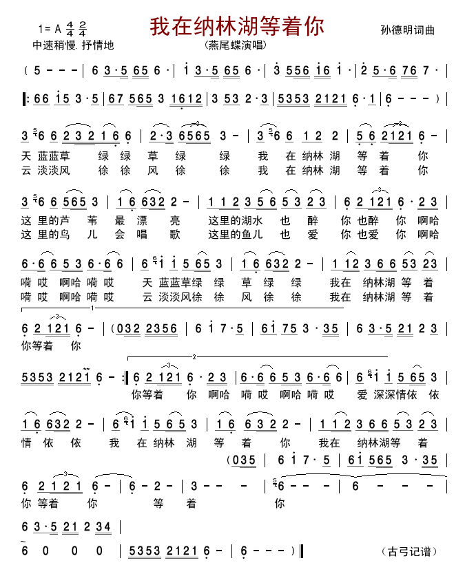 我在纳林湖等着你二胡版