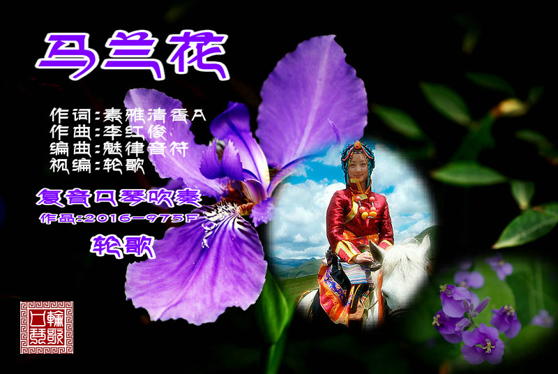 《马兰花》复音口琴吹奏视频:进入素雅清香老师的音乐空间.