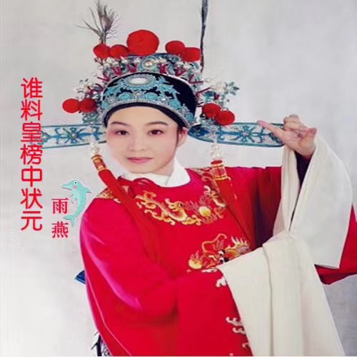 谁料皇榜中状元