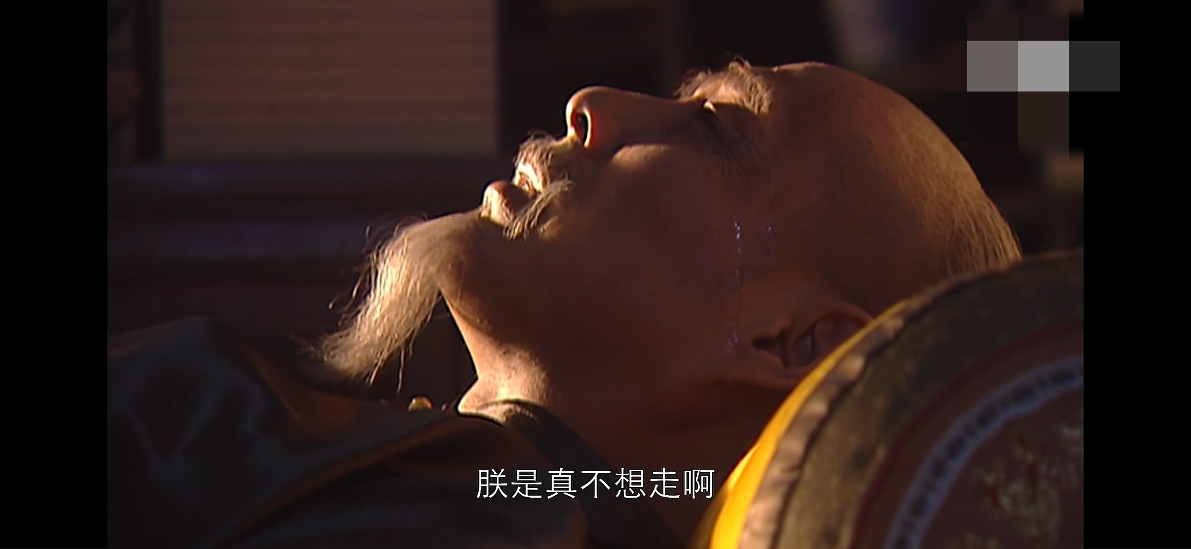 我真的还想再活五百年             