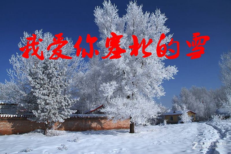 我爱你塞北的雪(马庆红) - 马儿1950 - 5sing中国原创