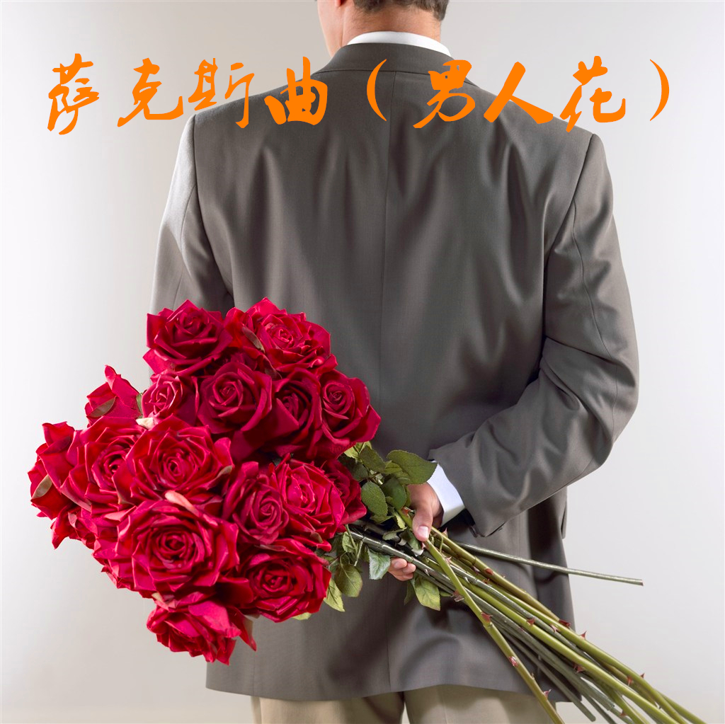 男人花(萨克斯)