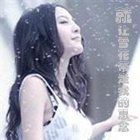 就让雪花带走我的思念【**梅香雪韵**】