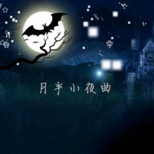 月半小夜曲 现场