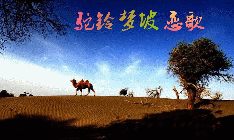 驼铃梦坡恋歌