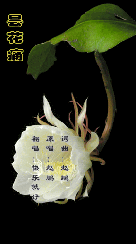 昙花痛 - 快乐就好 - 5sing中国原创音乐基地