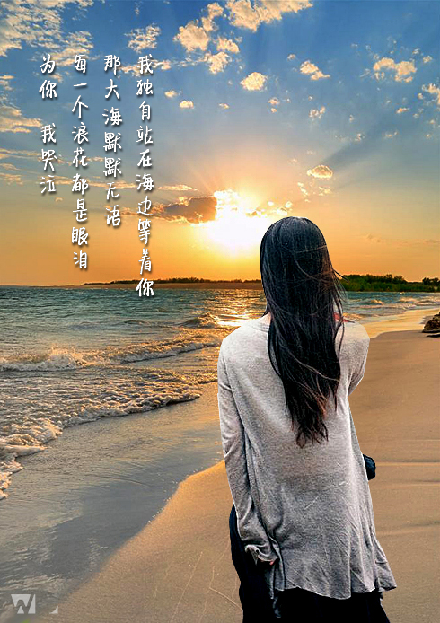 翻唱作品之41.邓丽君【心里梦里】男女声对重唱版