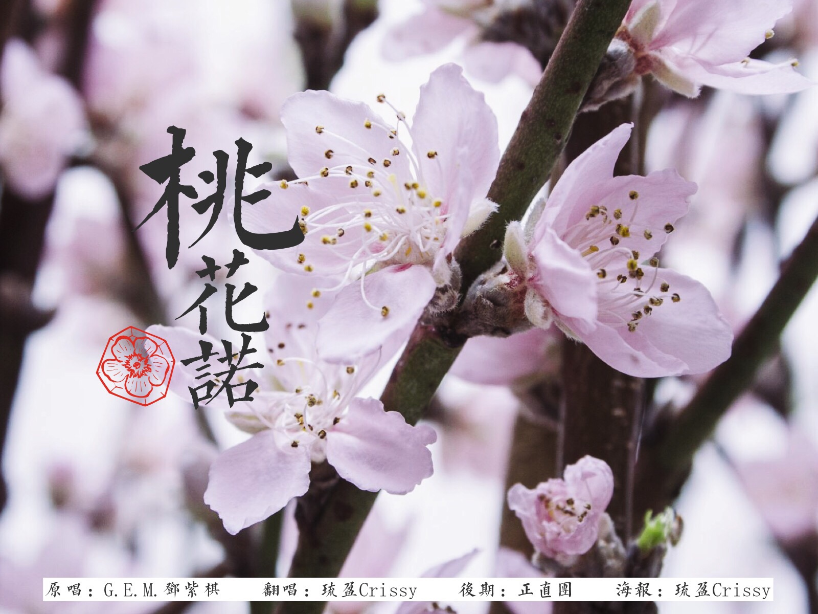 桃花诺