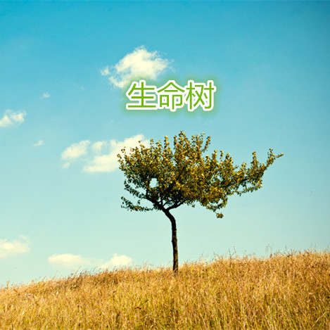 生命树