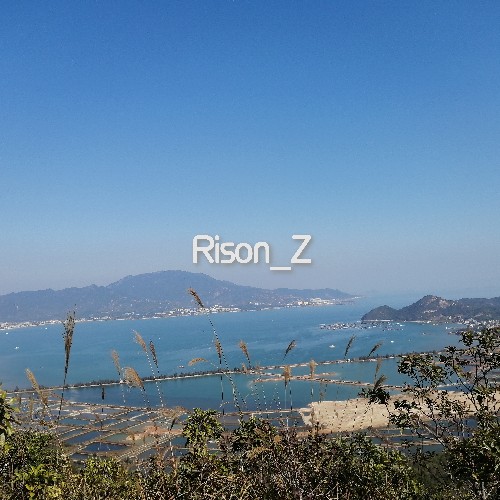 Rison_Z