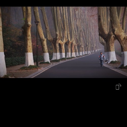 杨稳熹泇瓒念恩