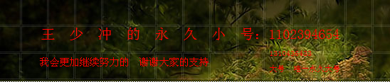 Mc-王少冲