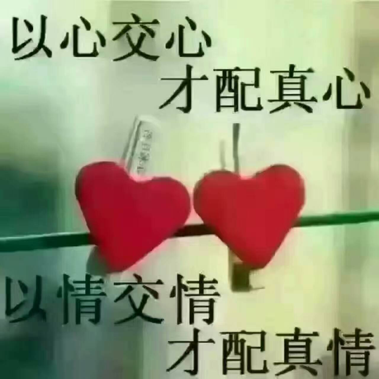 1672472a44ce7fdb29cb3fb6e298cfcc.jpg