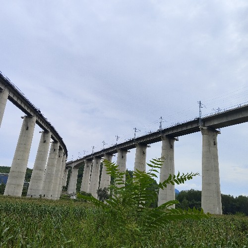 舞笛乐手_64258595