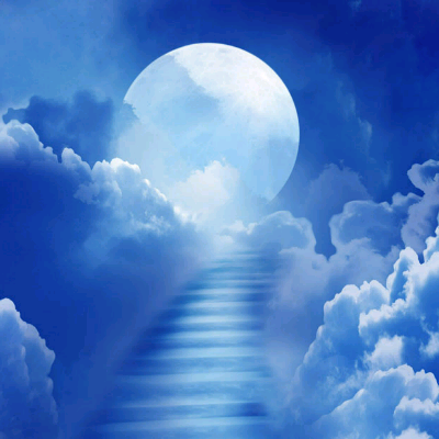 走心……51548430