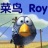 菜鸟Roy