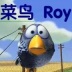 菜鸟Roy