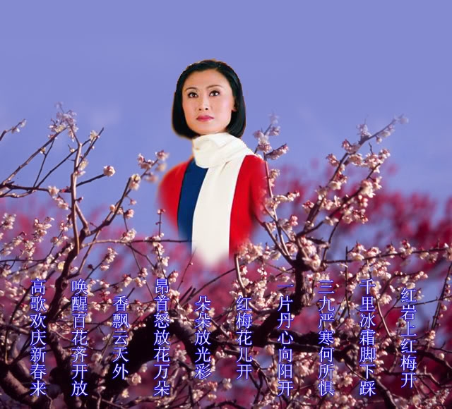 红梅赞