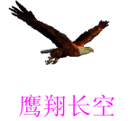 鹰翔 长空