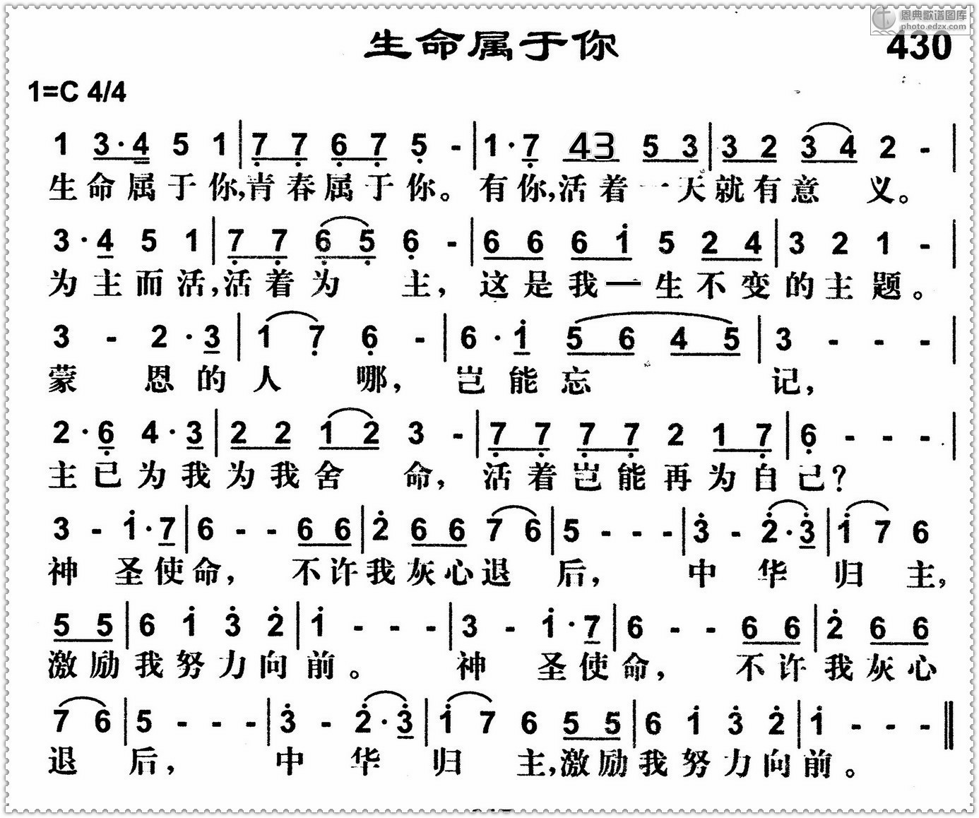 太多提琴谱_太多电子琴谱(3)