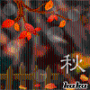 歌手-文龙1l