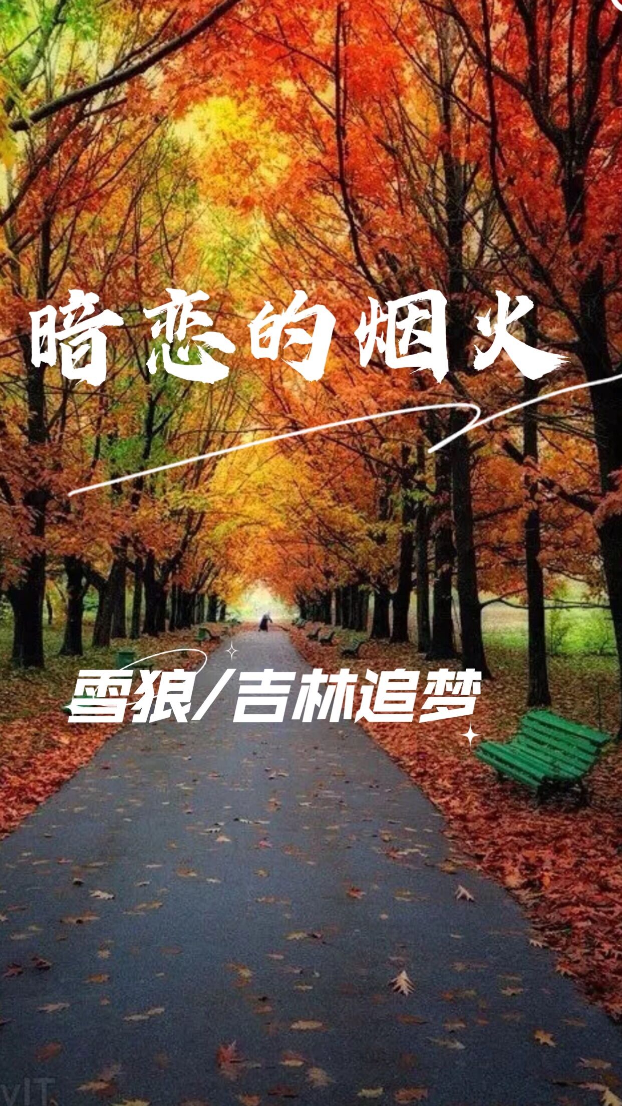 暗恋的烟火