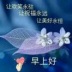 芥菜籽_AXHF36NRLA