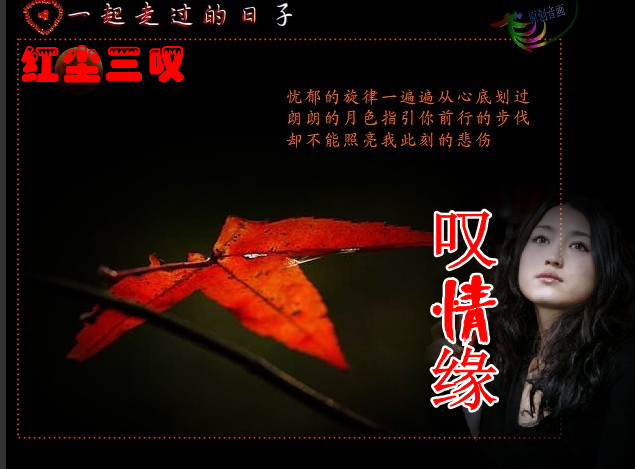 叹情缘