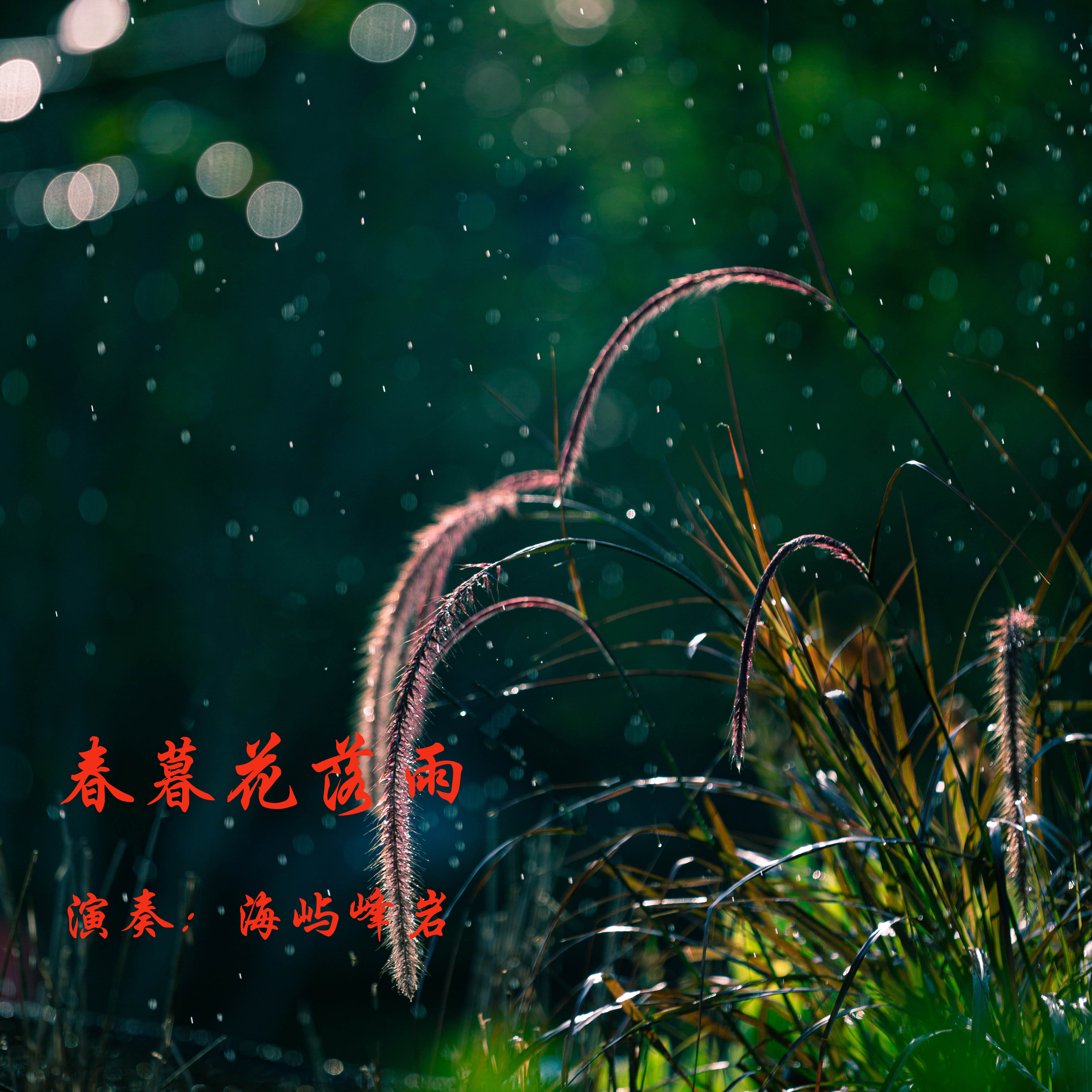 春暮花落雨简谱视唱图片