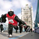 小张快跑_70855345