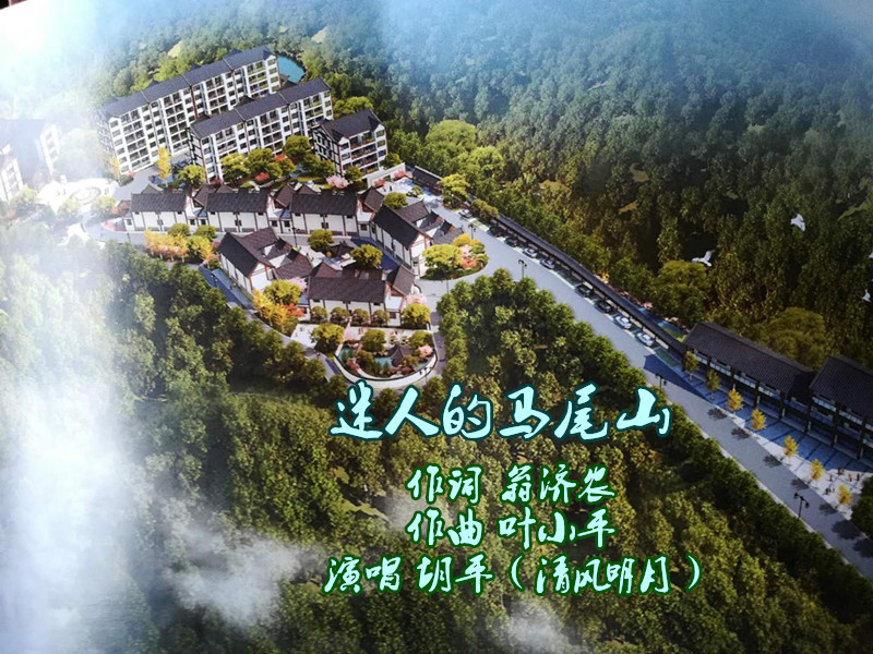 迷人的马尾山