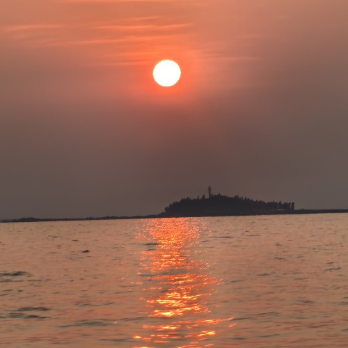 流浪的张某某