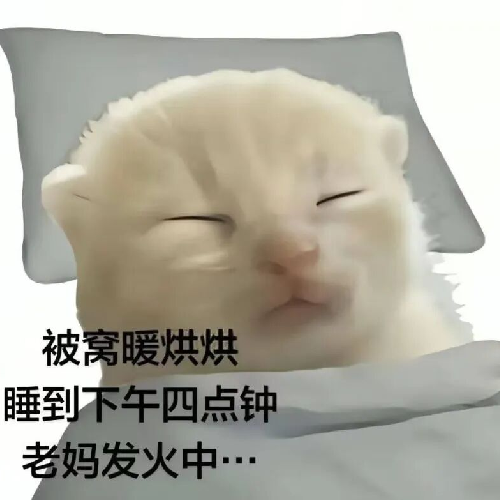 Rt天明
