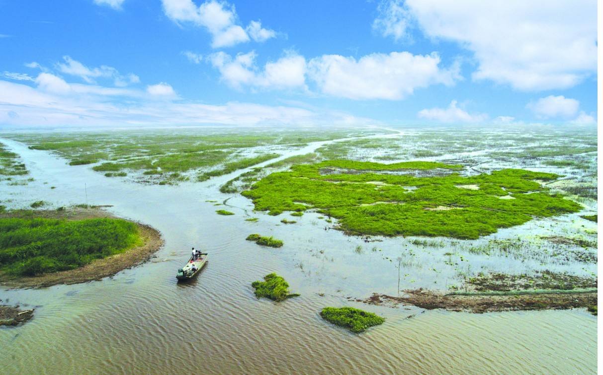 大湖湿地水韵泗洪图片