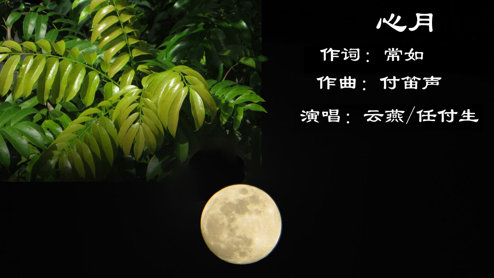 心月(画幅完全版）