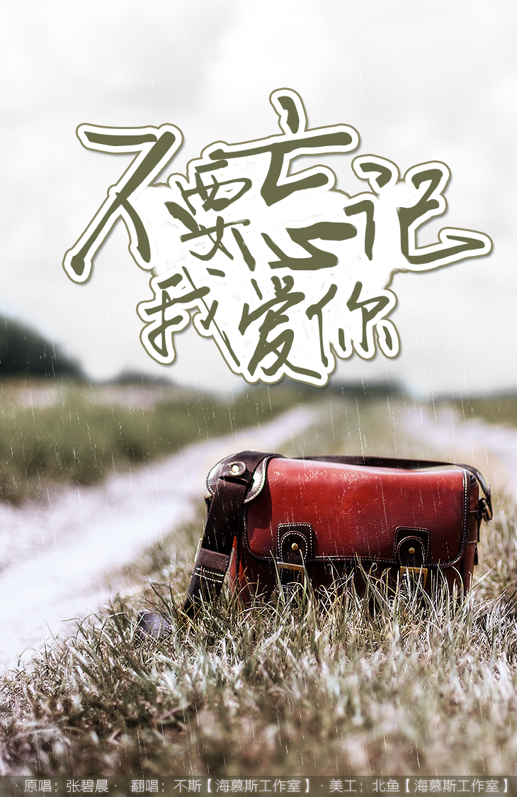 翻唱不要忘记我爱你