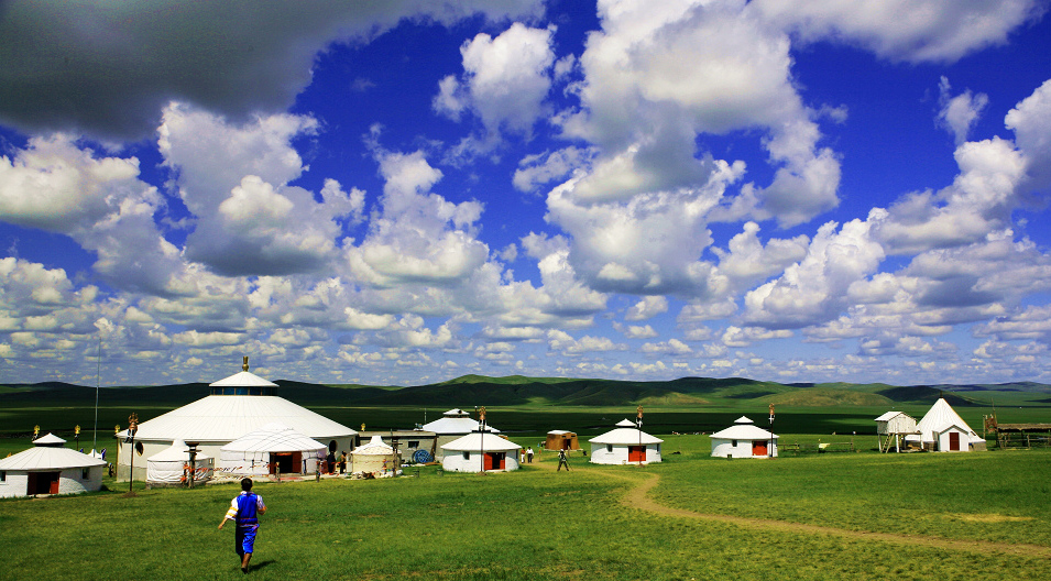 美丽的草原我的家