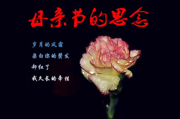 母亲节的思念.