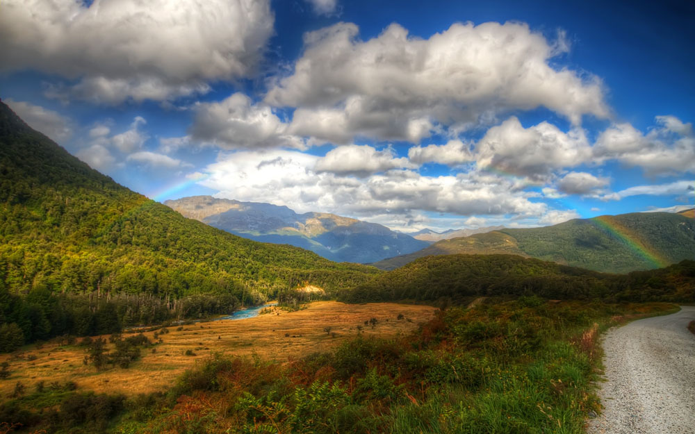 肖锋梦中的绿洲