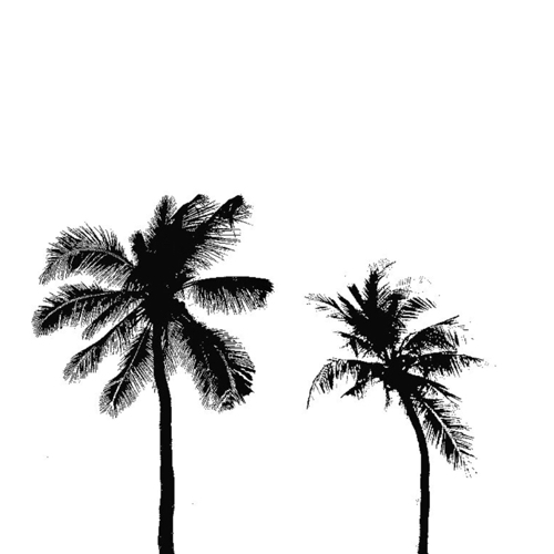以北森林
