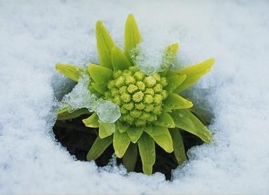 情醉丽江 - 音乐人王立 - 5sing中国原创音乐基地