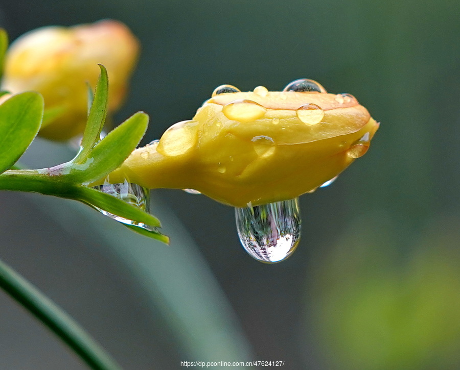 酒醉的雨滴