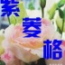 紫菱格