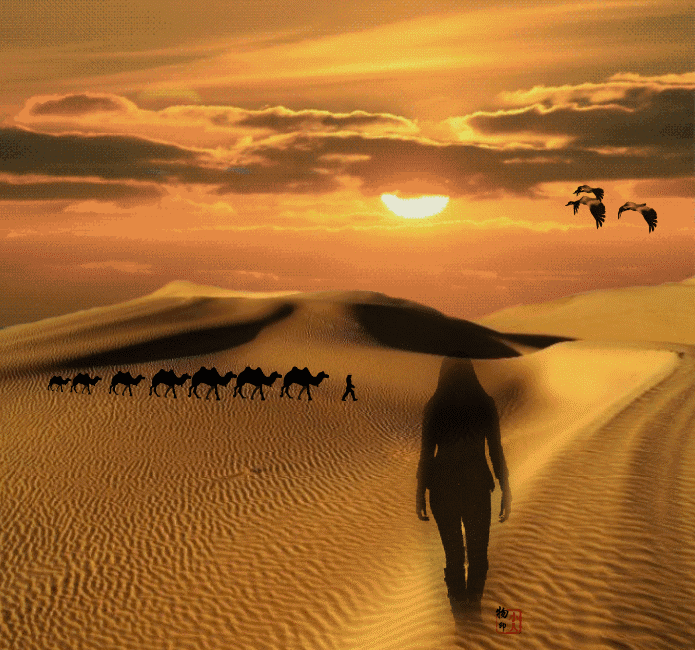 《爱的回忆》倪尔萍 - ___沙漠※秋雨///// - 5sing音乐